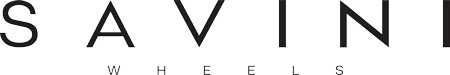 Savini Logo